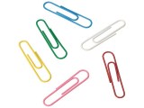 Paperclip SPLS 26mm metaal assorti/ds500