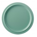 rosti-mepal-basic-p250-plat-bord-retro-green4